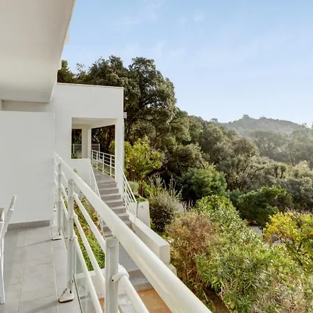 Appartement Bougainvillier - Welkeys