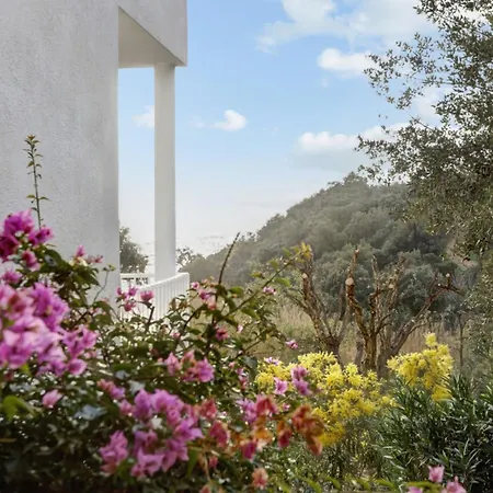 Bougainvillier - Welkeys Cavalaire-sur-Mer