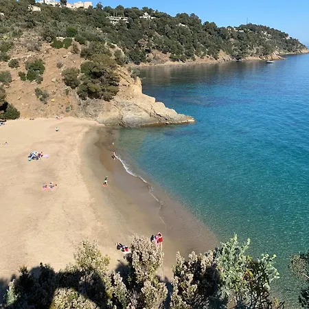 Bougainvillier - Welkeys