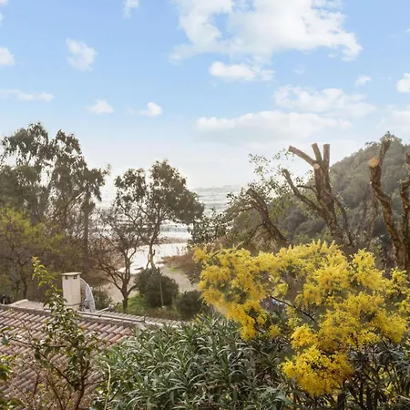 Bougainvillier - Welkeys *