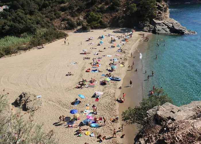 Bougainvillier - Welkeys *