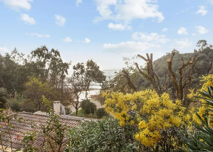 Bougainvillier - Welkeys *